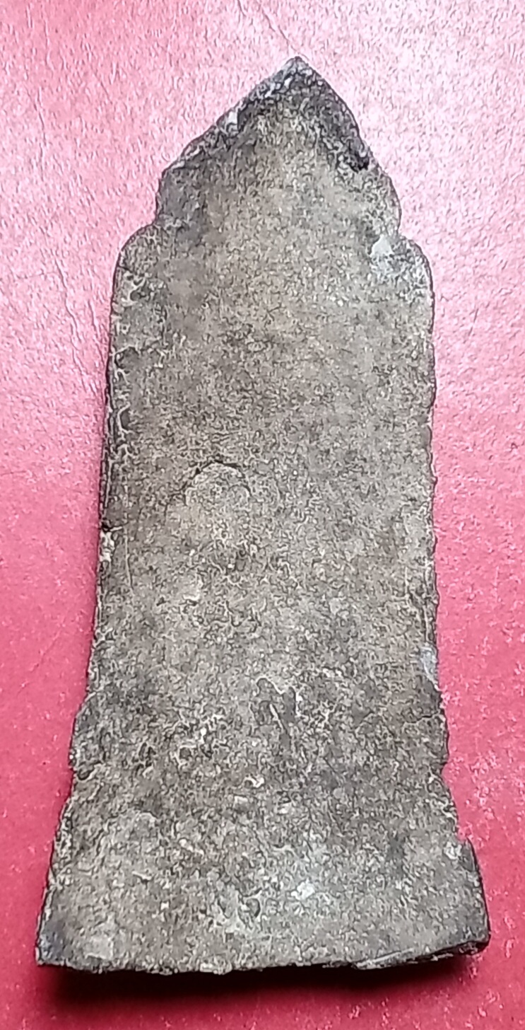 20260315_141915.jpg